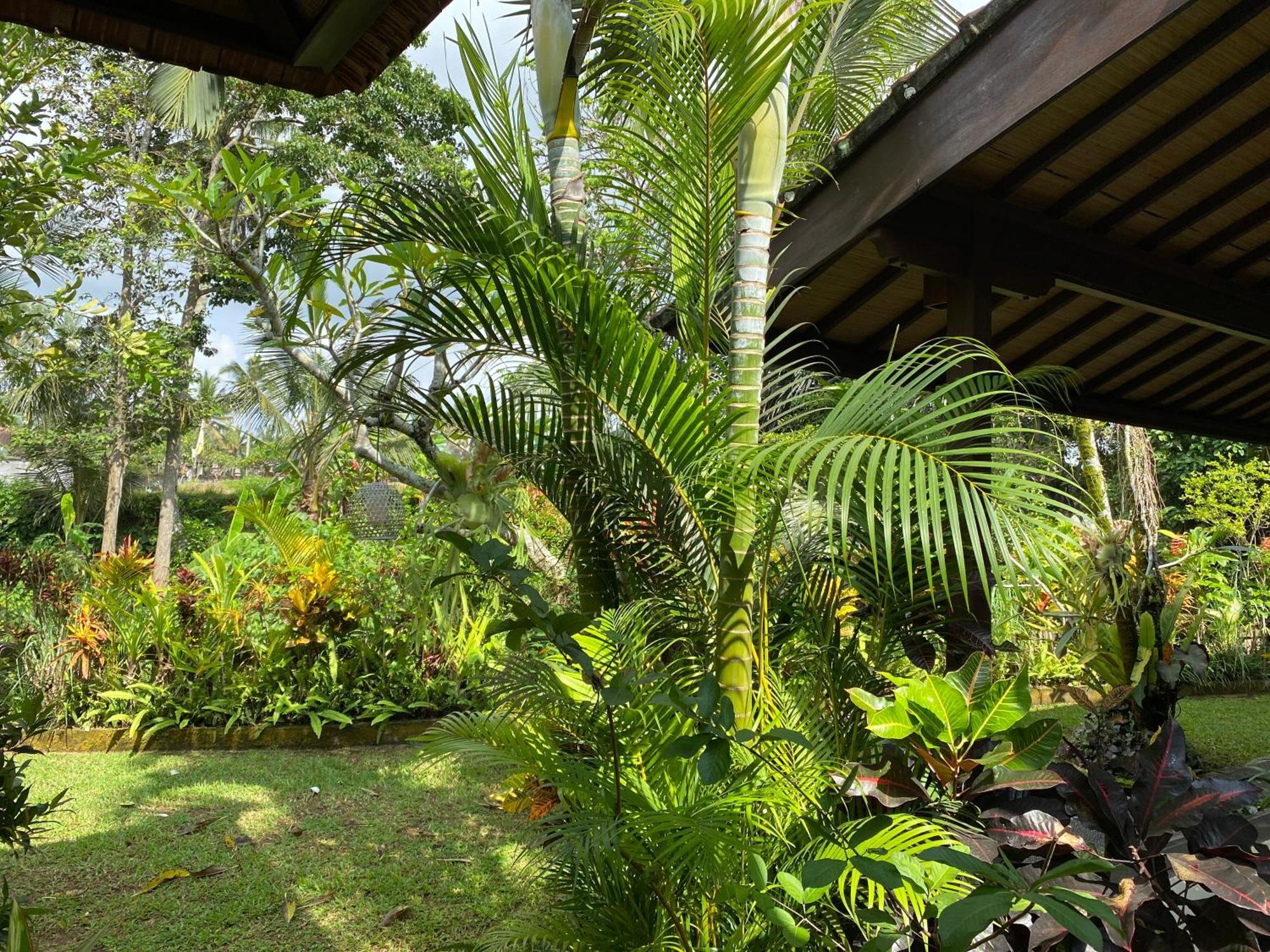 Villa Alam Surya Ubud Dış mekan fotoğraf