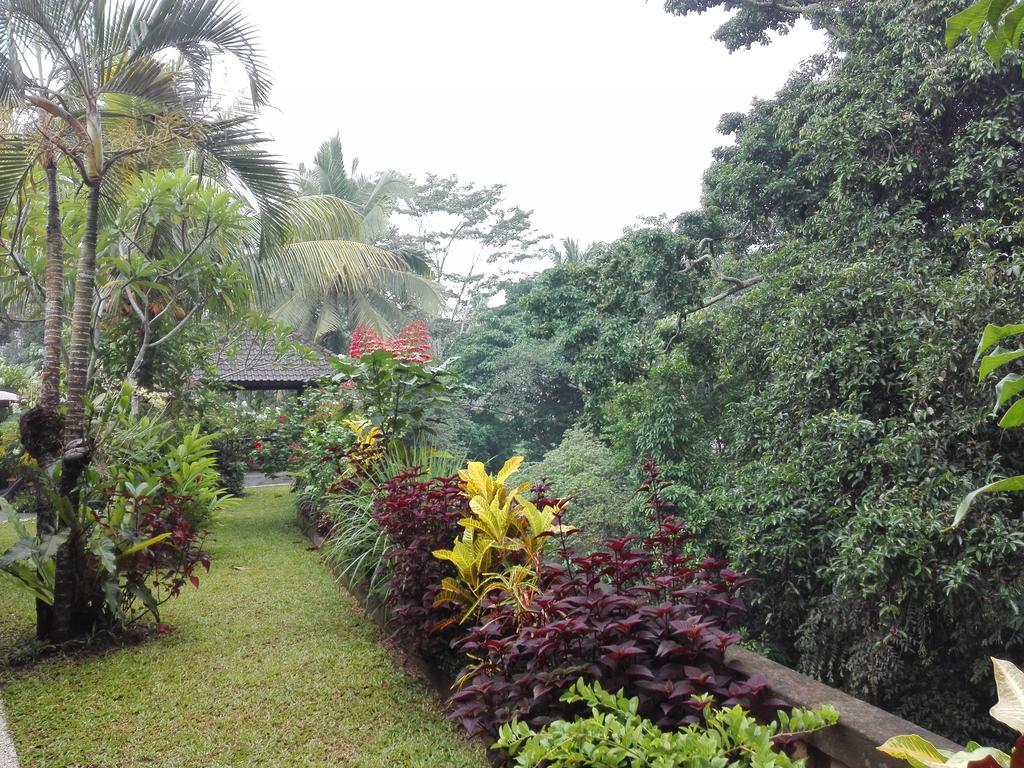 Villa Alam Surya Ubud Dış mekan fotoğraf