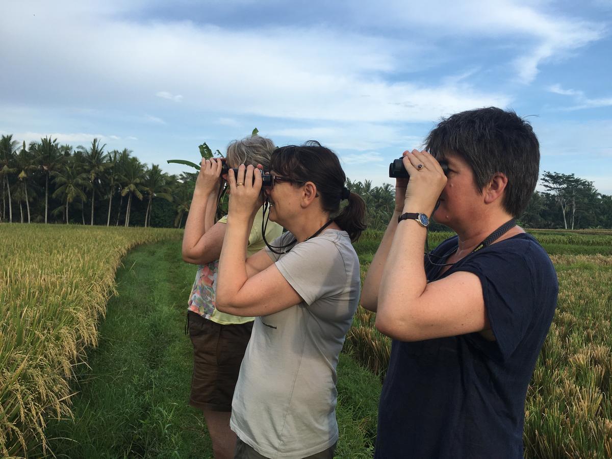 Villa Alam Surya Ubud Dış mekan fotoğraf